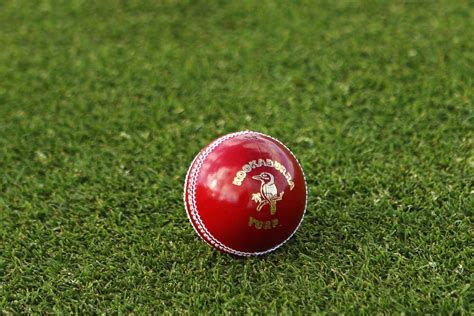 yahoo cricket com|India v New Zealand LIVE: Cricket World Cup score and  .